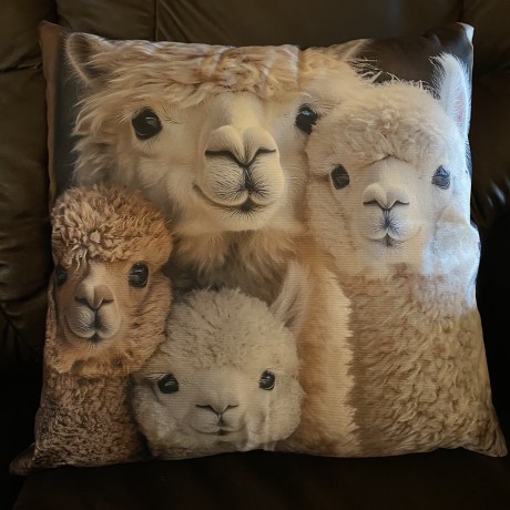 Alpaca Themed Cushion image
