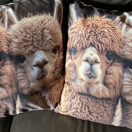 Alpaca Themed Cushion image